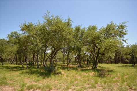 Tbd Lot 17-b Deer Run Wimberley TX 78676