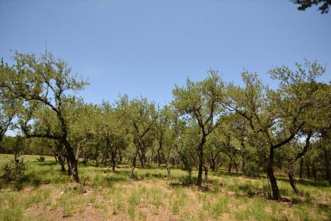 Tbd Lot 17-b Deer Run Wimberley TX 78676