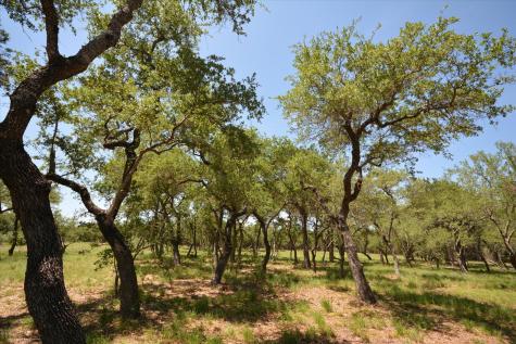 Tbd Lot 17-b Deer Run Wimberley TX 78676