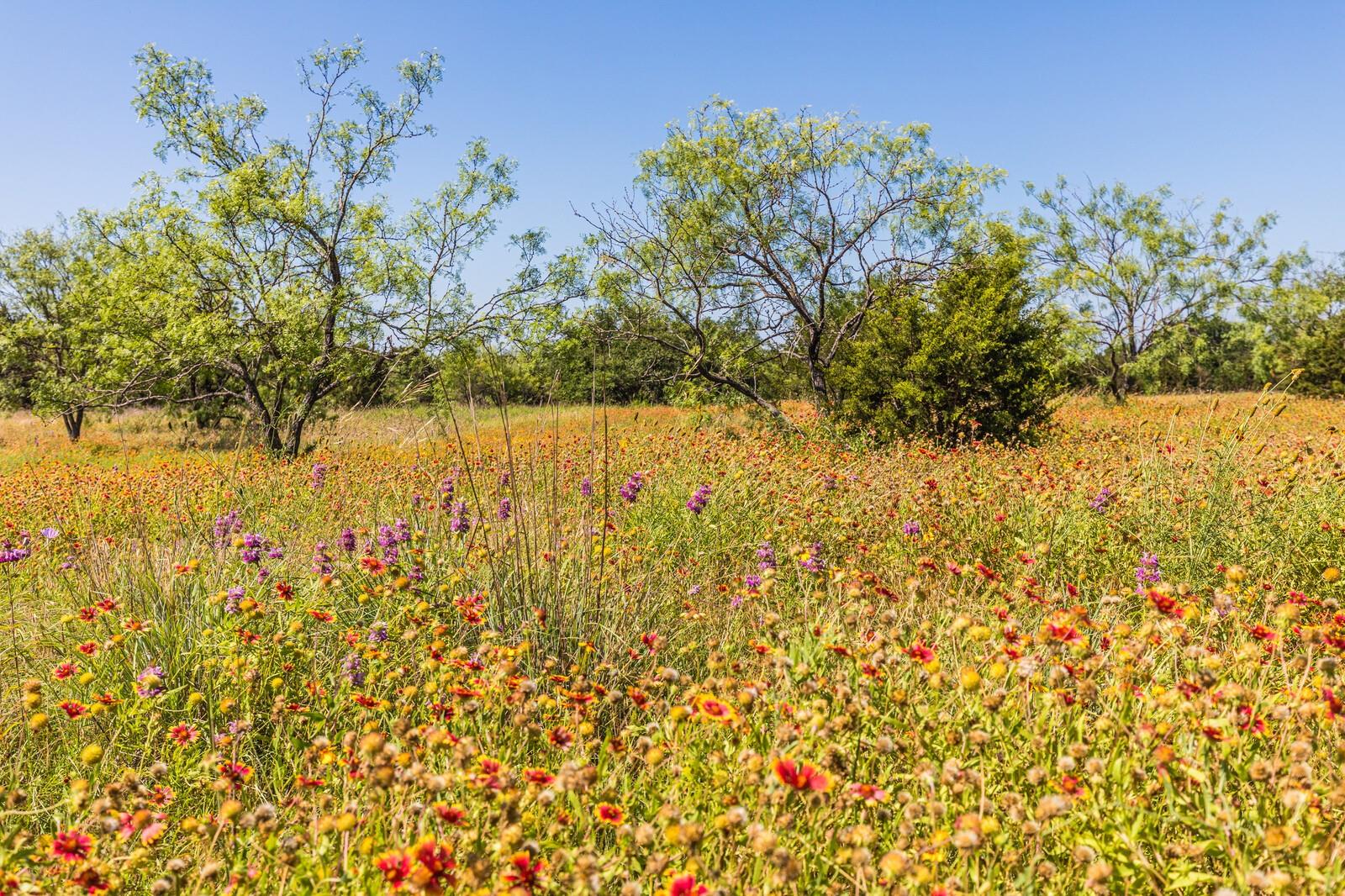 13.5AC County Road 3300 Kempner TX 76539