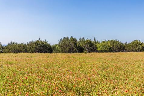 13.5AC County Road 3300 Kempner TX 76539