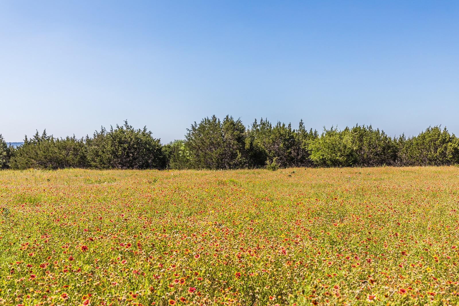 13.5AC County Road 3300 Kempner TX 76539