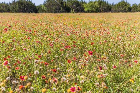 13.5AC County Road 3300 Kempner TX 76539