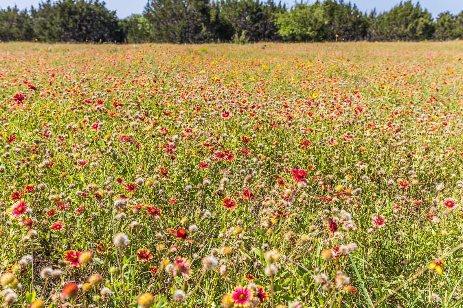 13.5AC County Road 3300 Kempner TX 76539