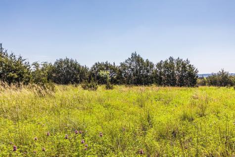13.5AC County Road 3300 Kempner TX 76539