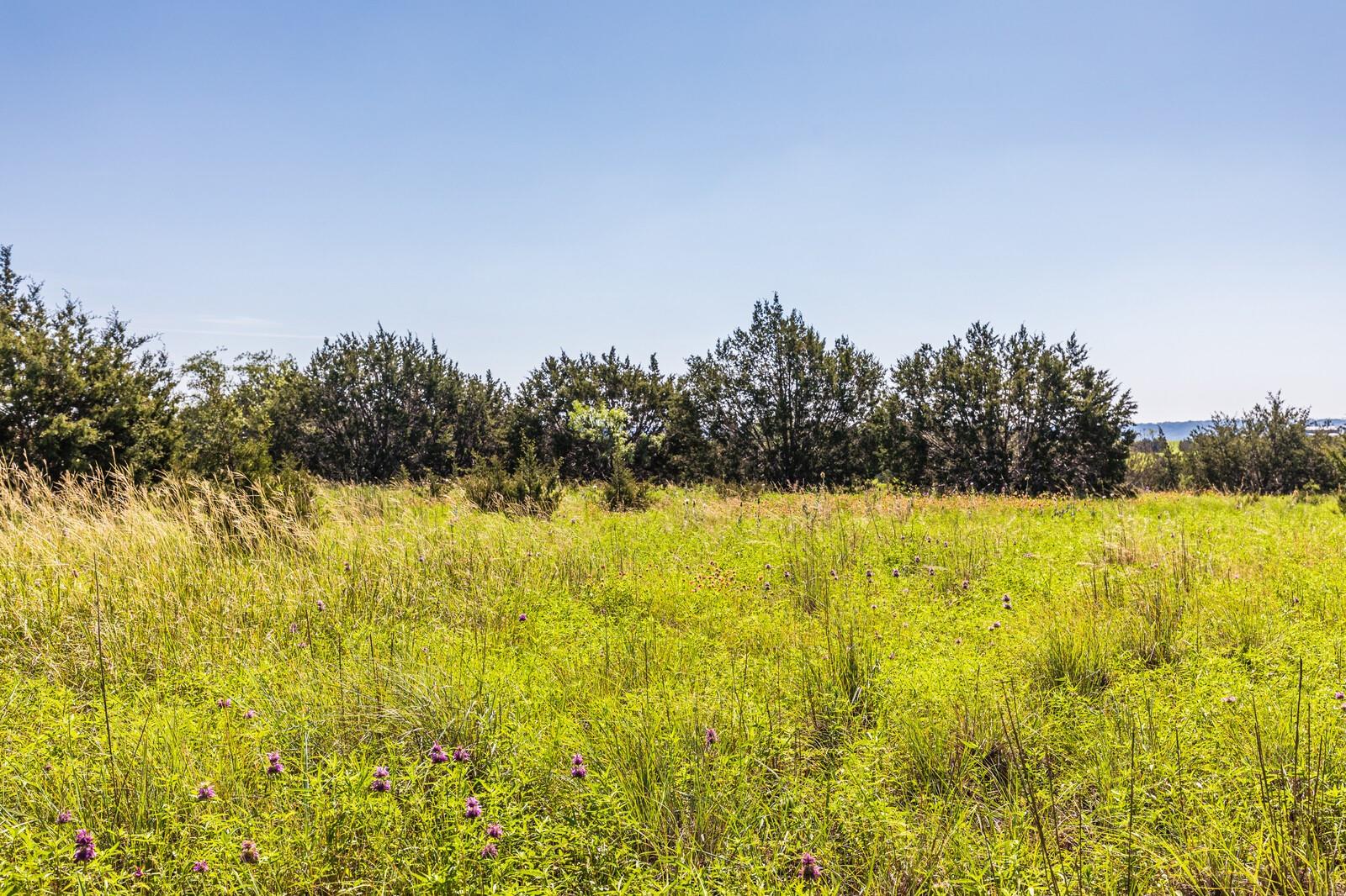 13.5AC County Road 3300 Kempner TX 76539