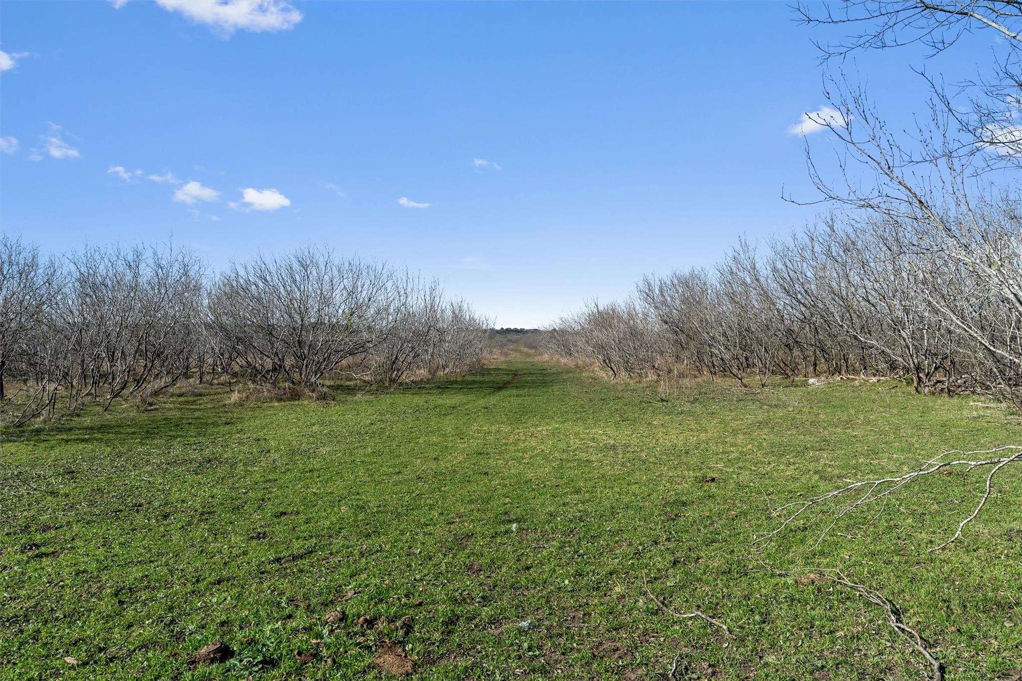 00 Rolling Ridge Road Lockhart TX 78644