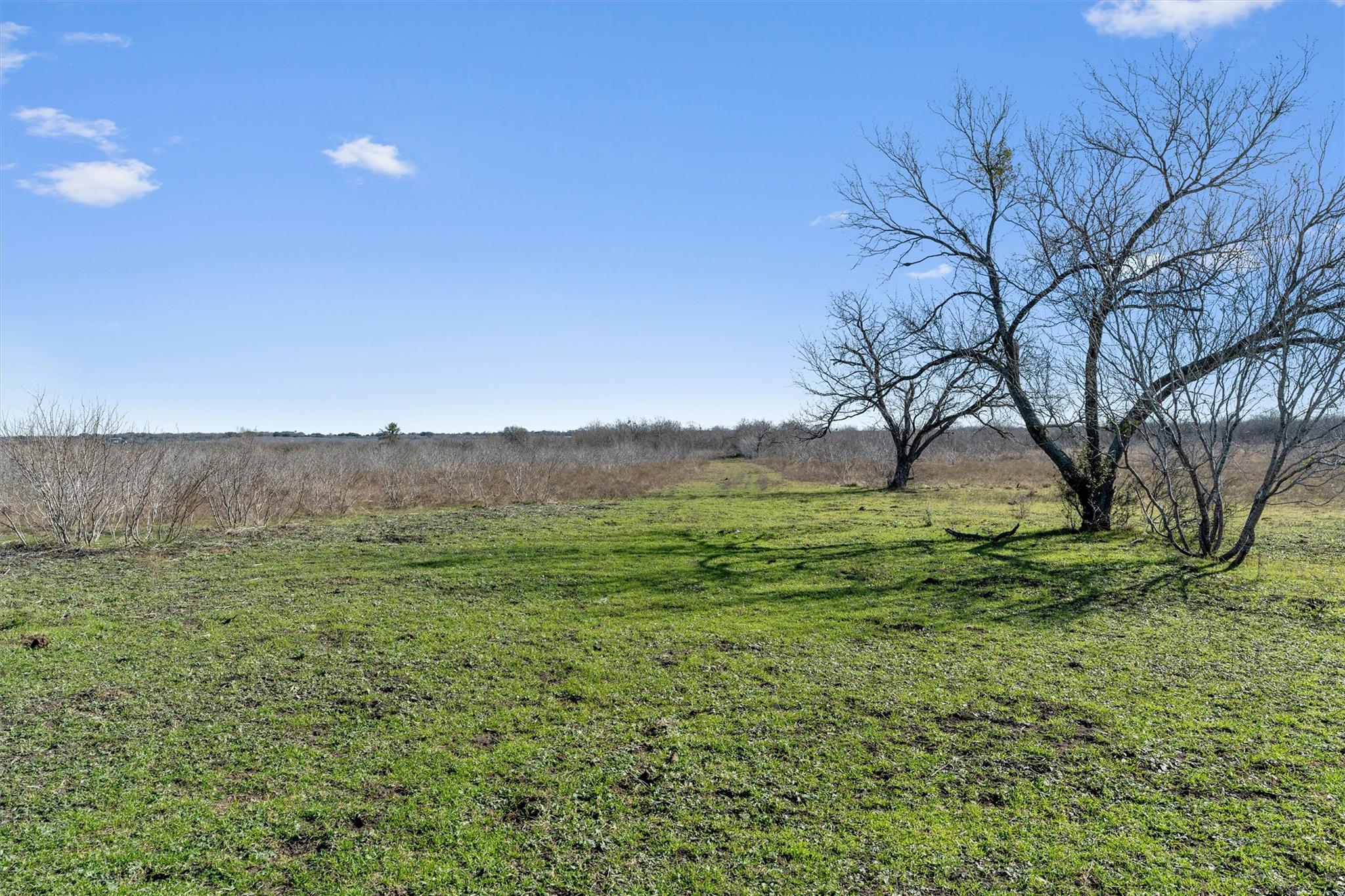 00 Rolling Ridge Road Lockhart TX 78644