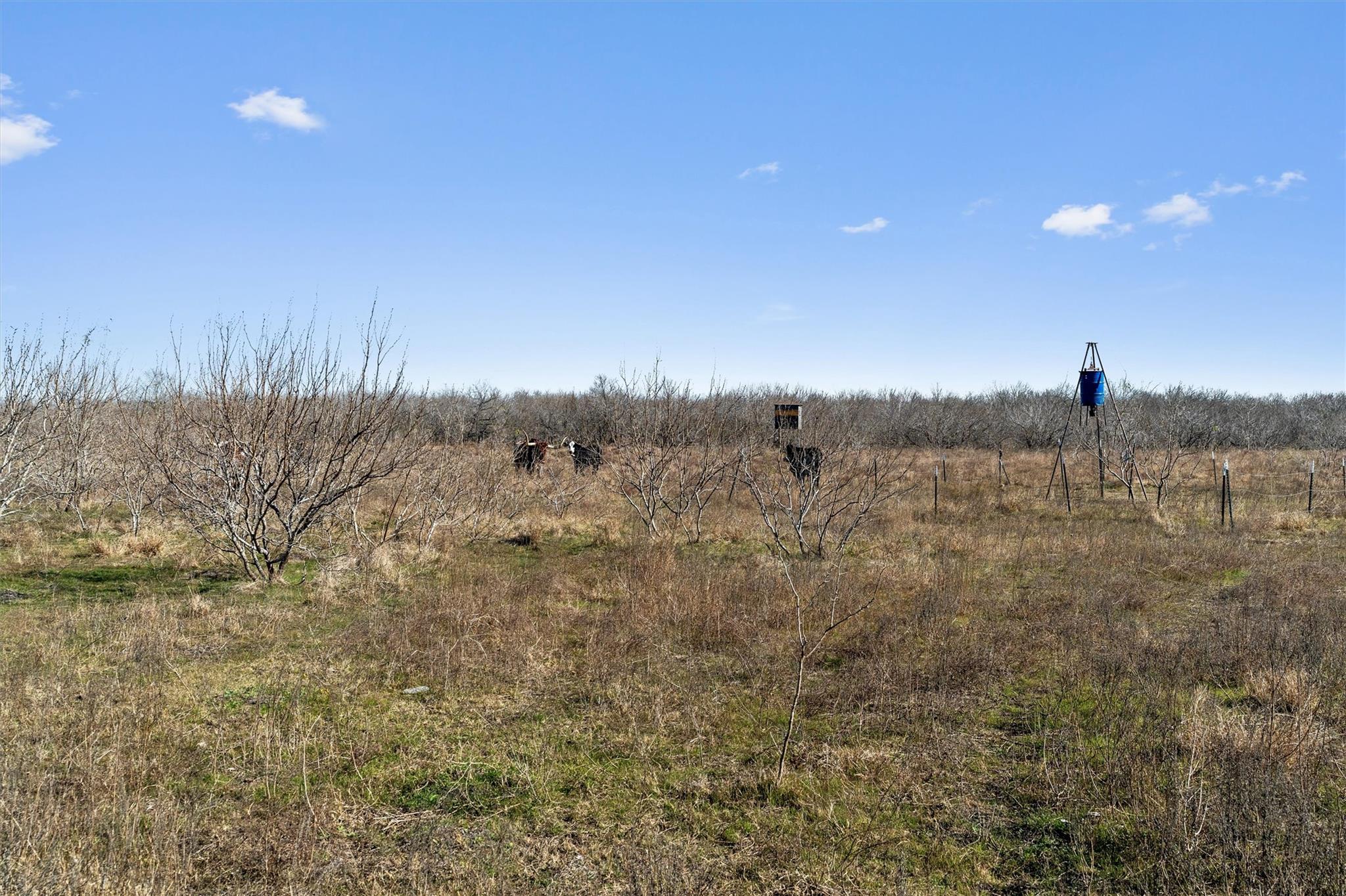 00 Rolling Ridge Road Lockhart TX 78644