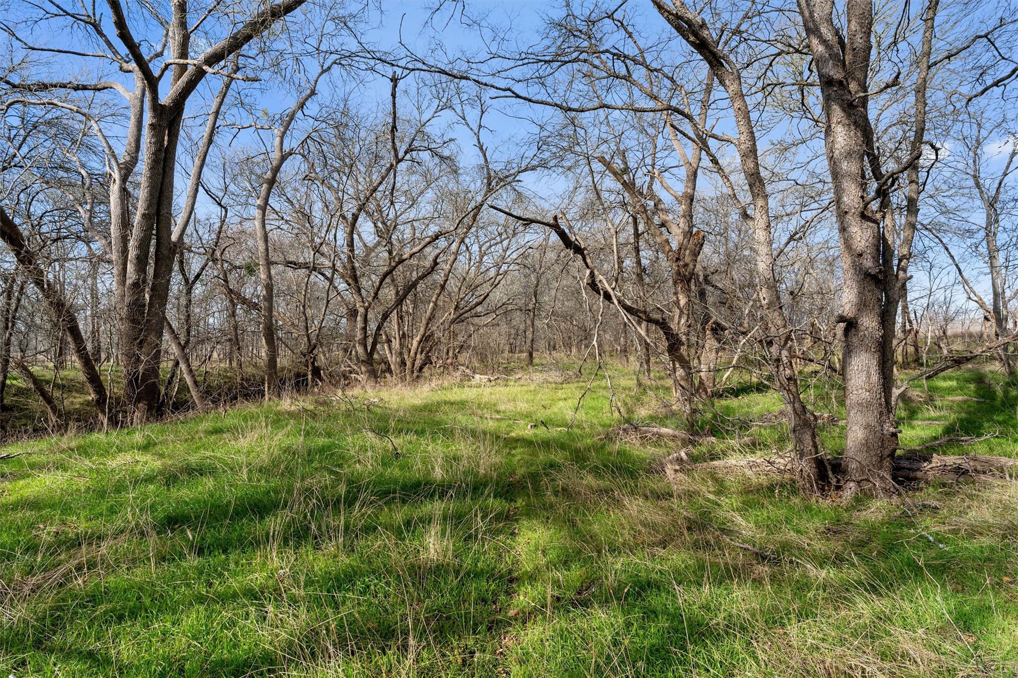 00 Rolling Ridge Road Lockhart TX 78644