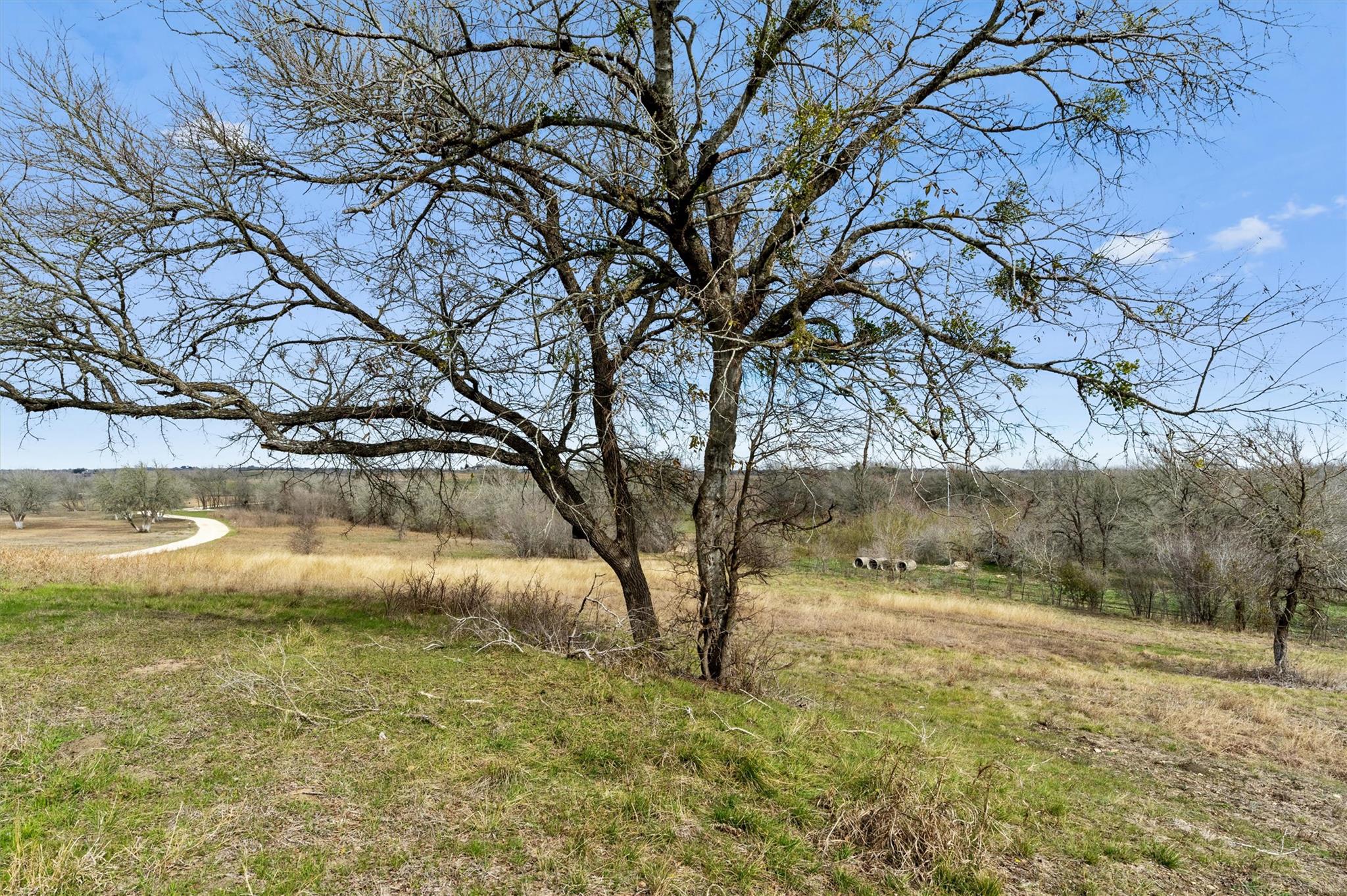 00 Rolling Ridge Road Lockhart TX 78644