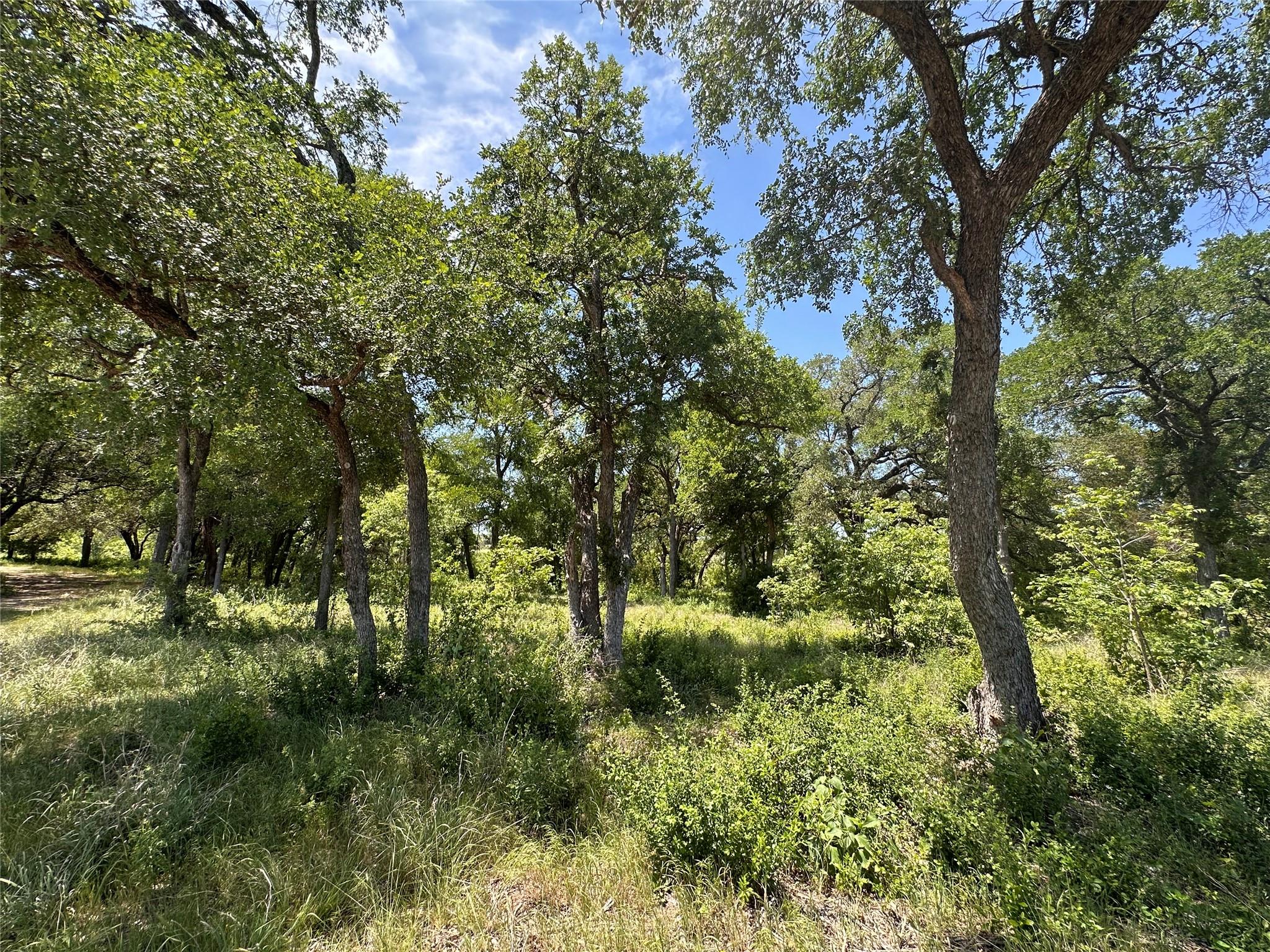 100 Serenity Drive Liberty Hill TX 78642