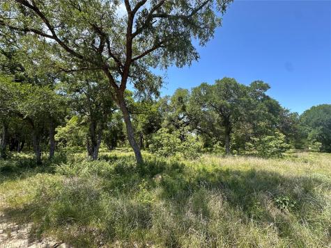 100 Serenity Drive Liberty Hill TX 78642