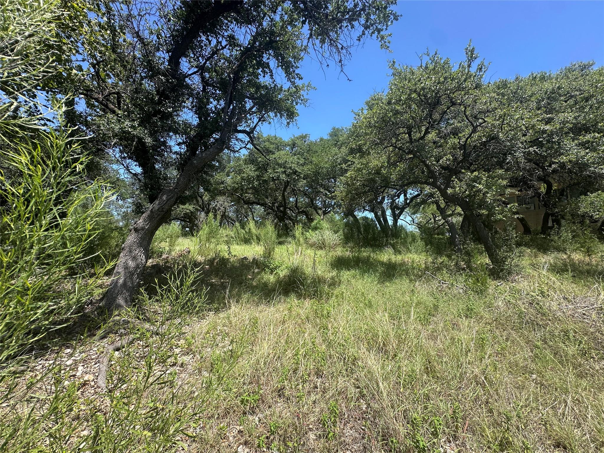 2700 Cornell Cove Lago Vista TX 78645