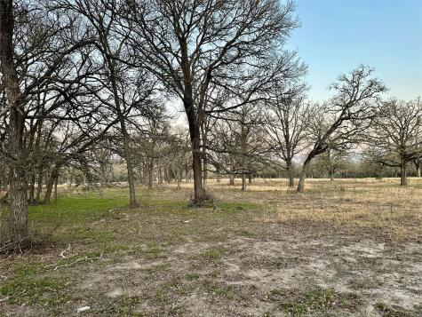 Tbd Cr 118 Road Giddings TX 78942