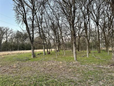 Tbd Cr 118 Road Giddings TX 78942