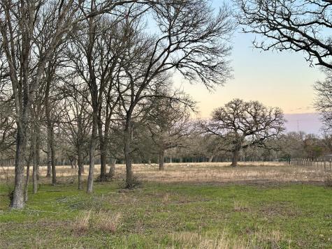 Tbd Cr 118 Road Giddings TX 78942