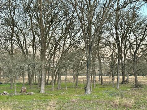 Tbd Cr 118 Road Giddings TX 78942