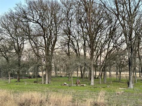 Tbd Cr 118 Road Giddings TX 78942