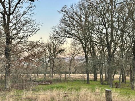 Tbd Cr 118 Road Giddings TX 78942