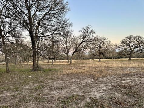 Tbd Cr 118 Road Giddings TX 78942
