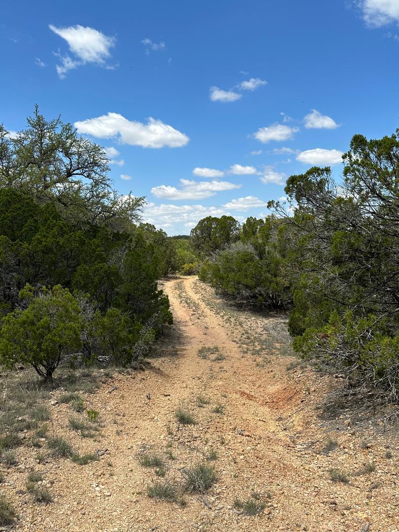 Tbd County Road 529 Mullin TX 76864