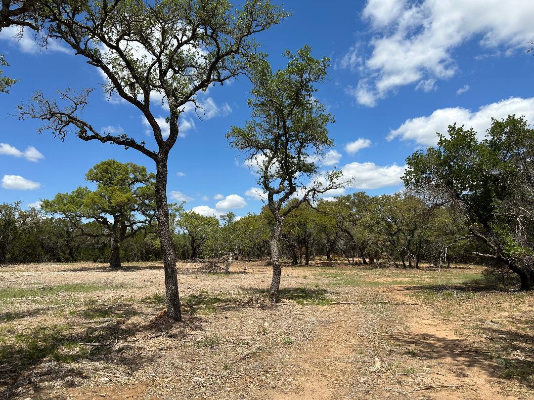 Tbd County Road 529 Mullin TX 76864