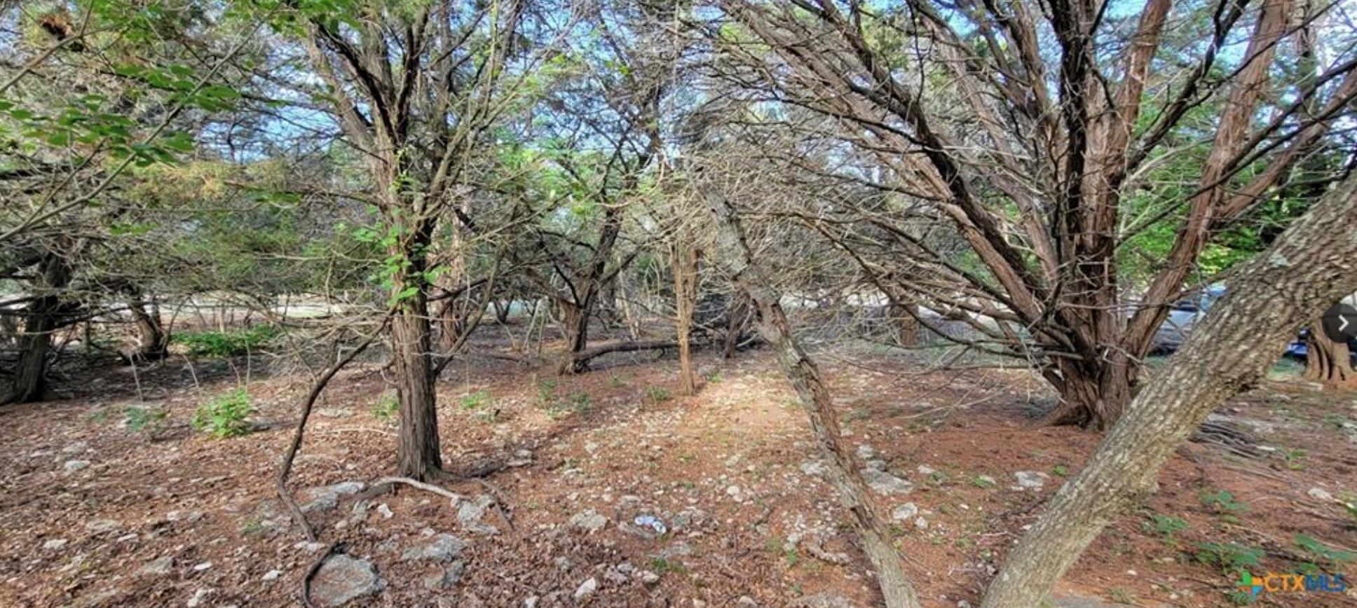 16082 Charlya Drive Temple TX 76502