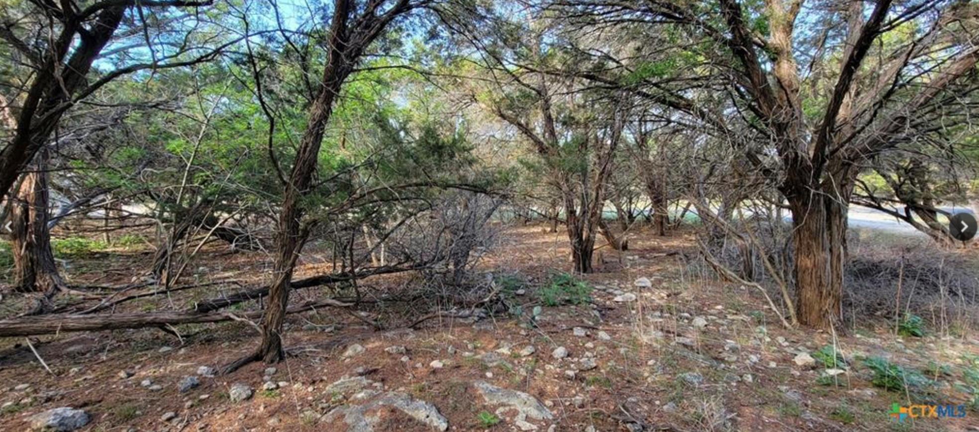 16082 Charlya Drive Temple TX 76502