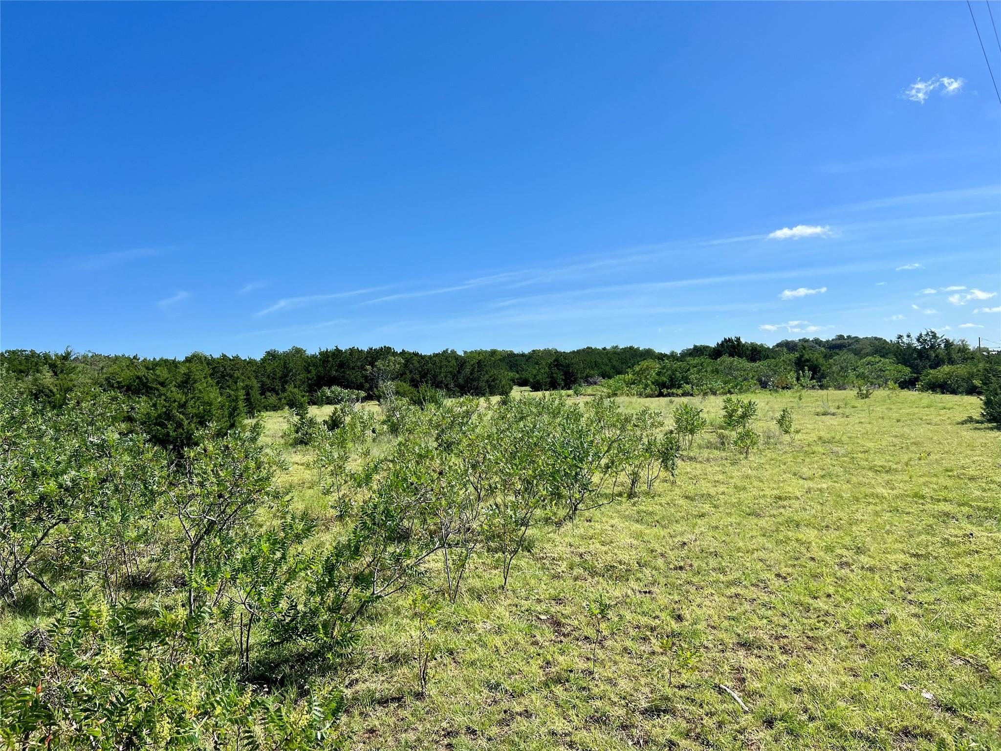 Tbd Lot 38 County Road 201 Liberty Hill TX 78642
