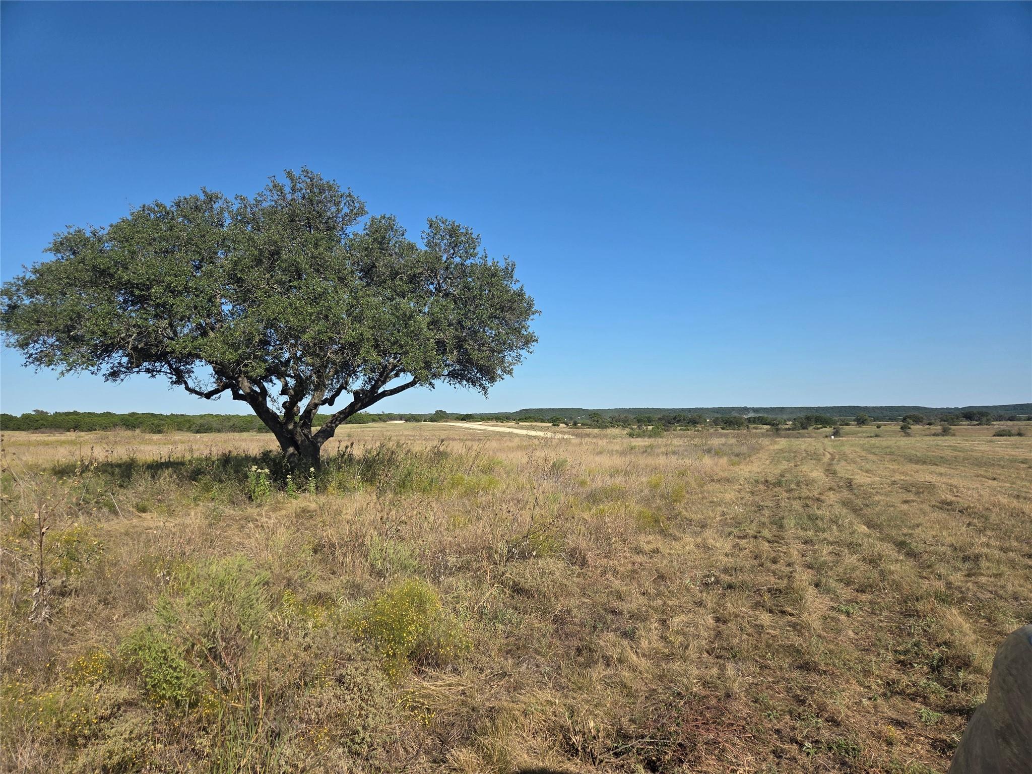 280 Waterbuck Way Gatesville TX 76538