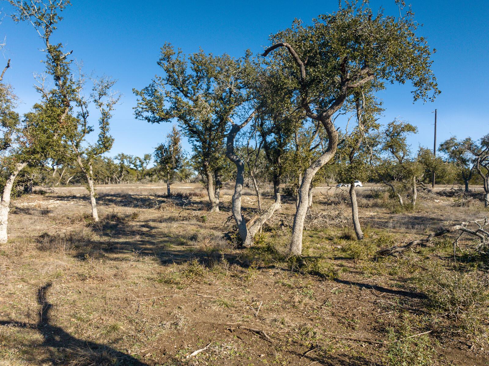 642 Windmill Ridge Drive Blanco TX 78606