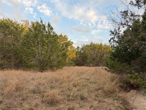 Tbd Fm 484 Canyon Lake TX 78133