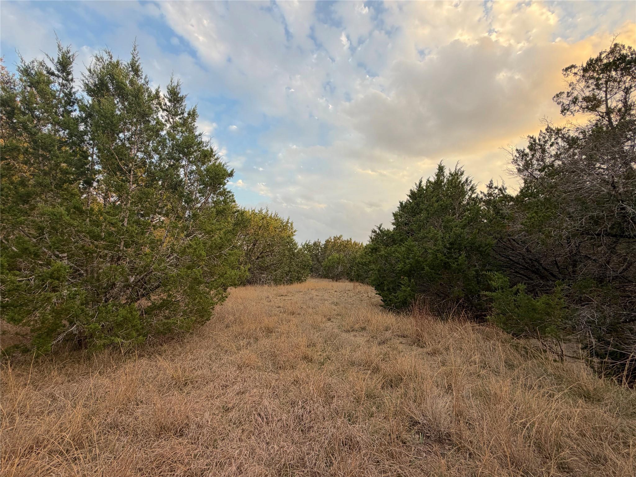 Tbd Fm 484 Canyon Lake TX 78133
