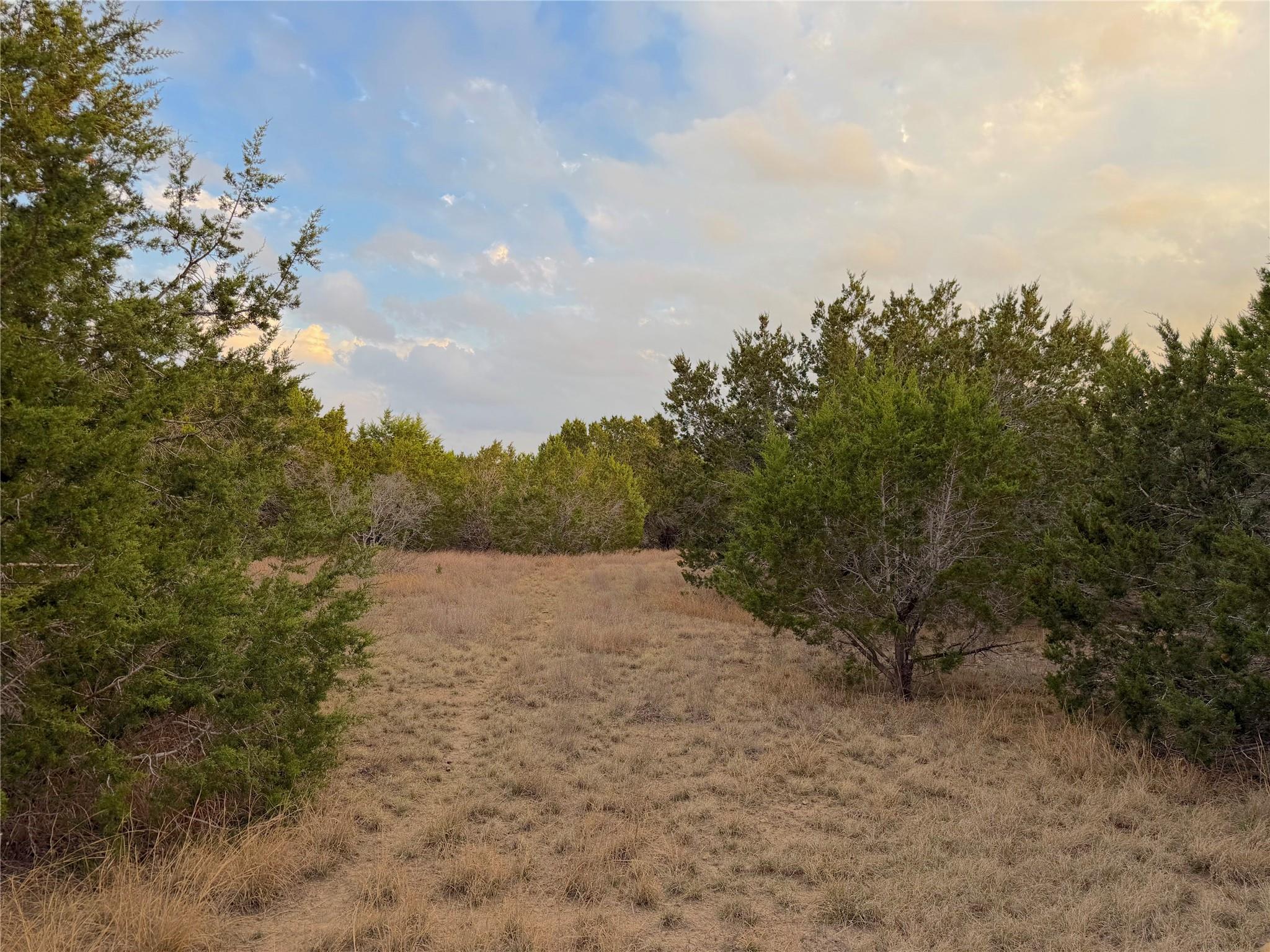 Tbd Fm 484 Canyon Lake TX 78133