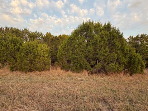 Tbd Fm 484 Canyon Lake TX 78133