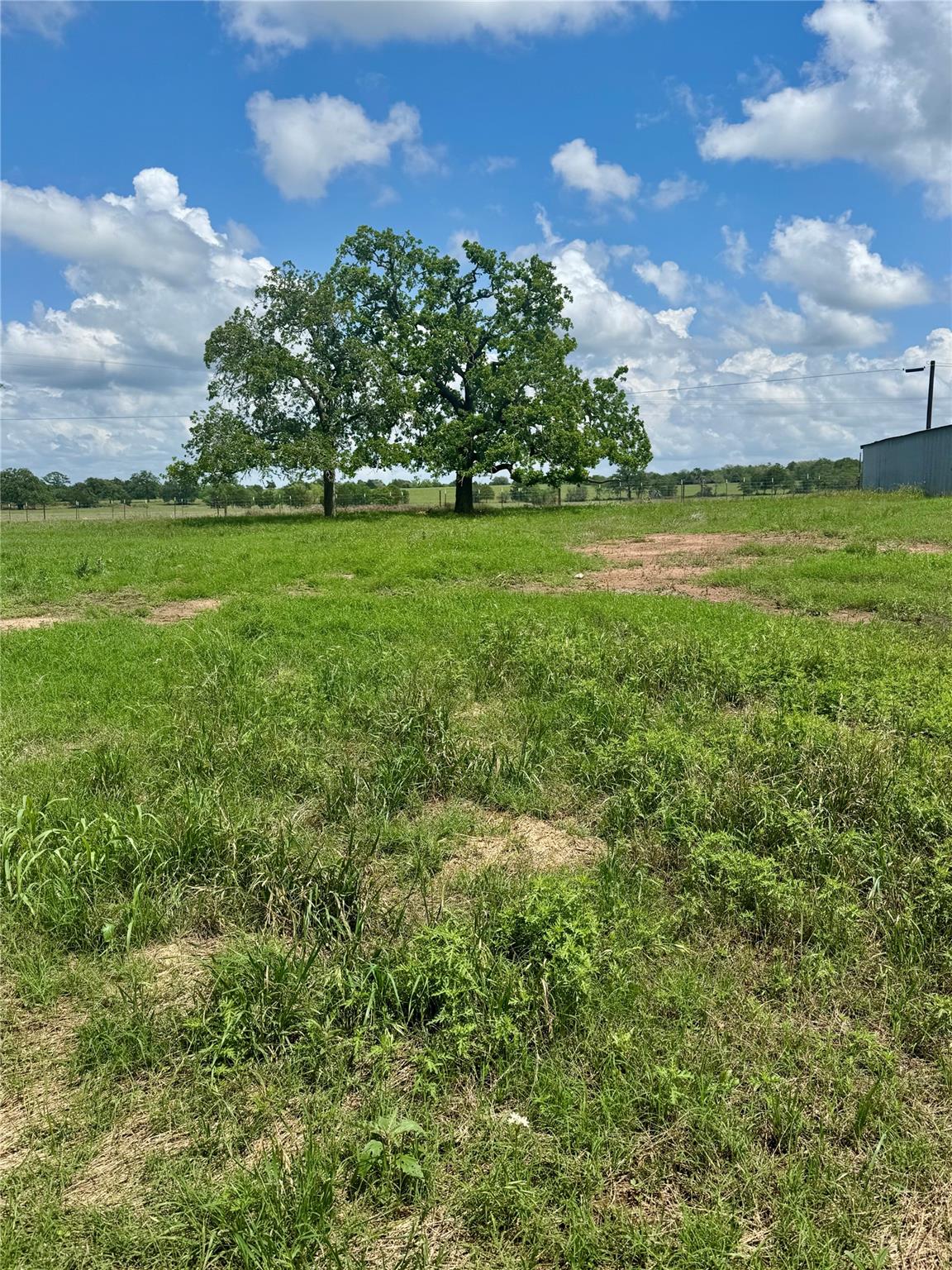 Tbd Lot 10 Cardinal Road Rosanky TX 78953