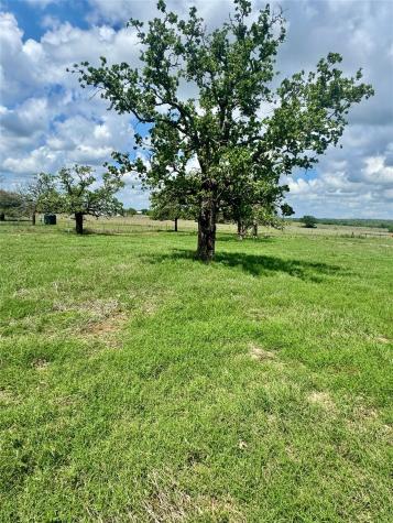 Tbd Lot 10 Cardinal Road Rosanky TX 78953