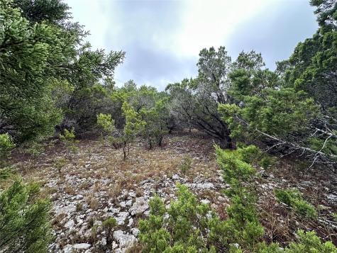 8413 Angus Trail Lago Vista TX 78645
