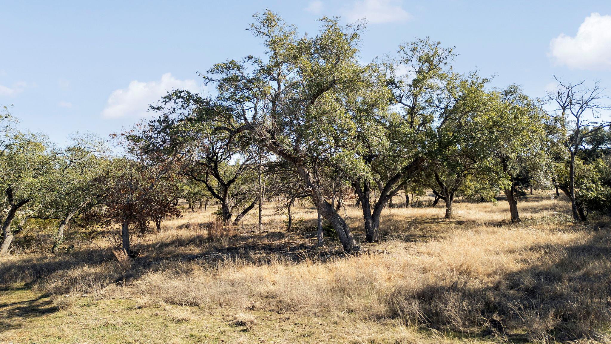 204 E Rio Ranch Road Georgetown TX 78628