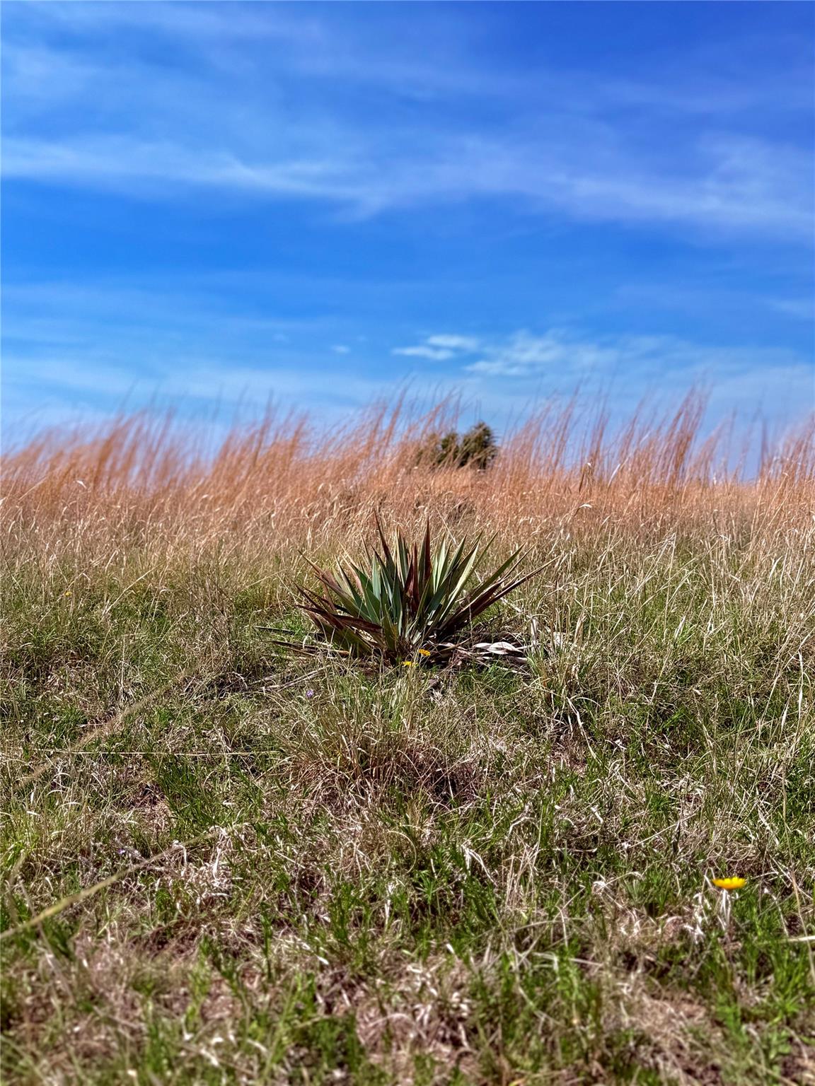 39 County Road 330 Goldthwaite TX 76844