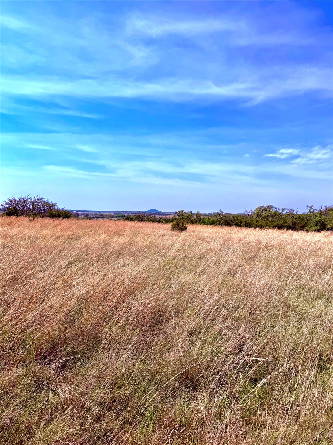 39 County Road 330 Goldthwaite TX 76844