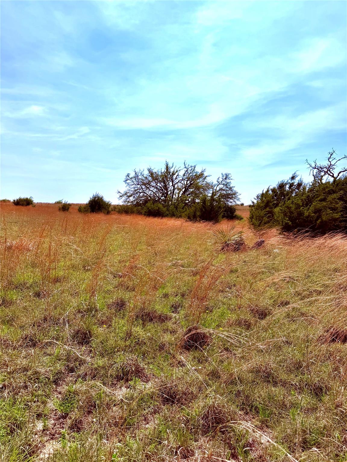 39 County Road 330 Goldthwaite TX 76844