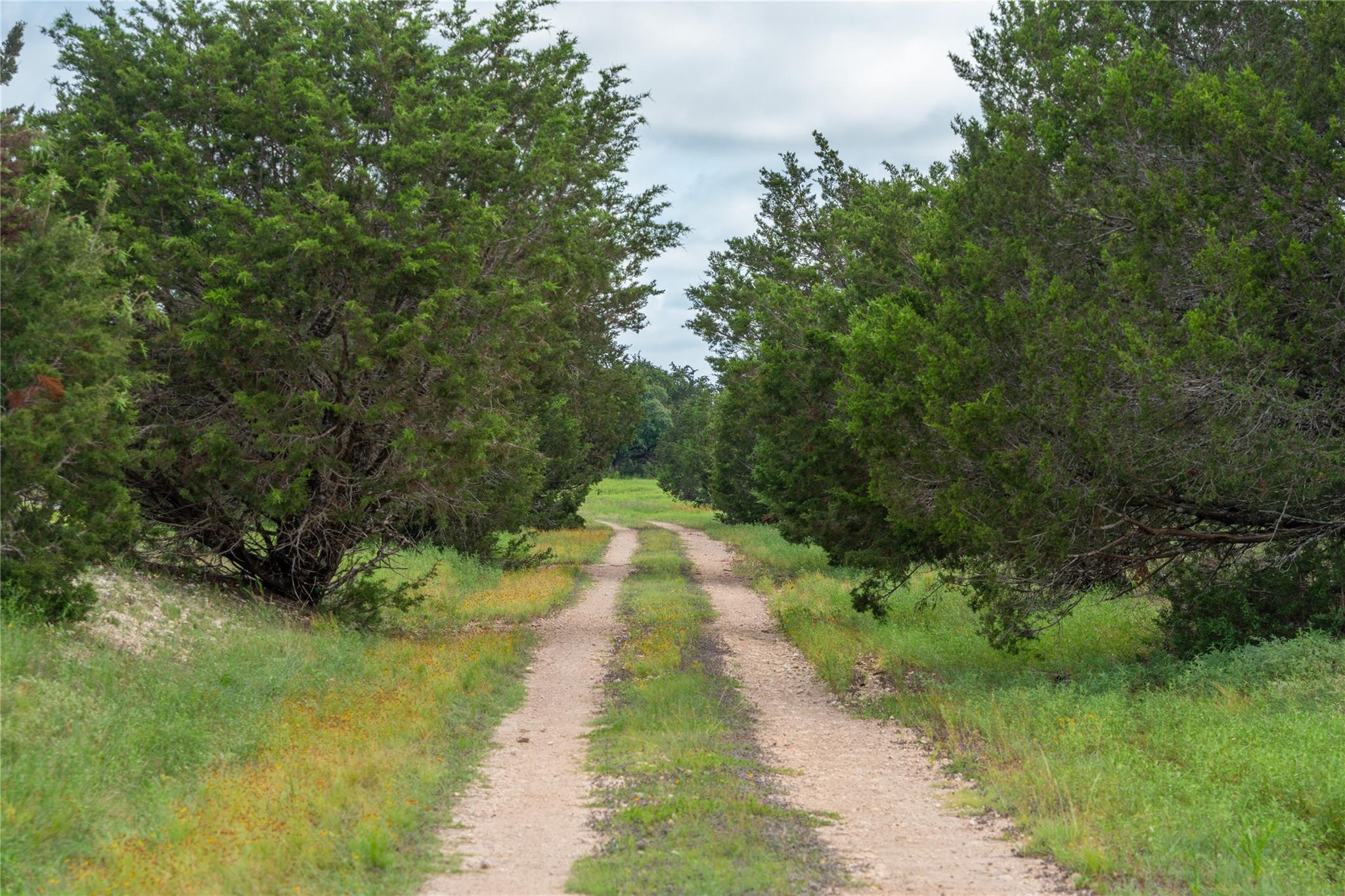 000 Fm 2340 Burnet TX 78611