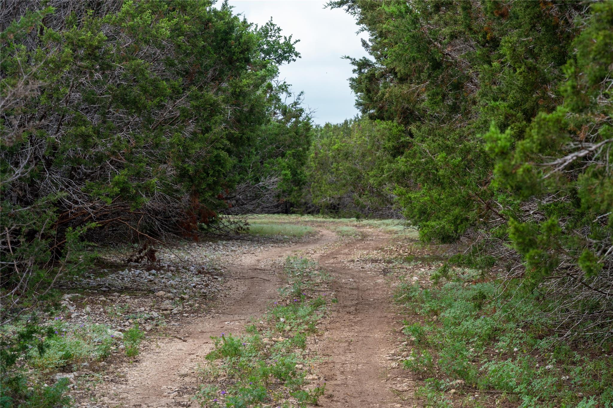 000 Fm 2340 Burnet TX 78611