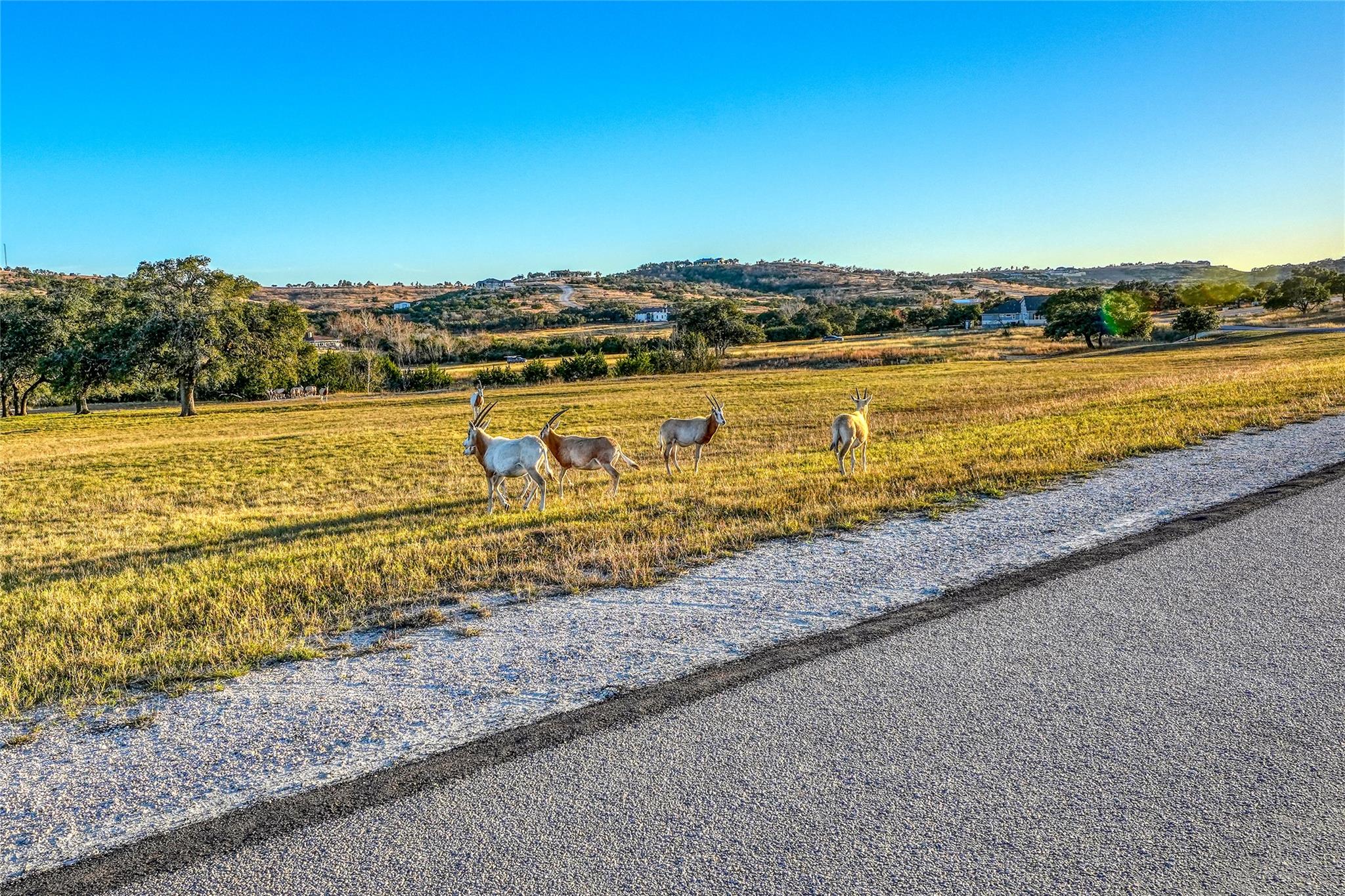 136 & 137 Falling Oak Drive Blanco TX 78606