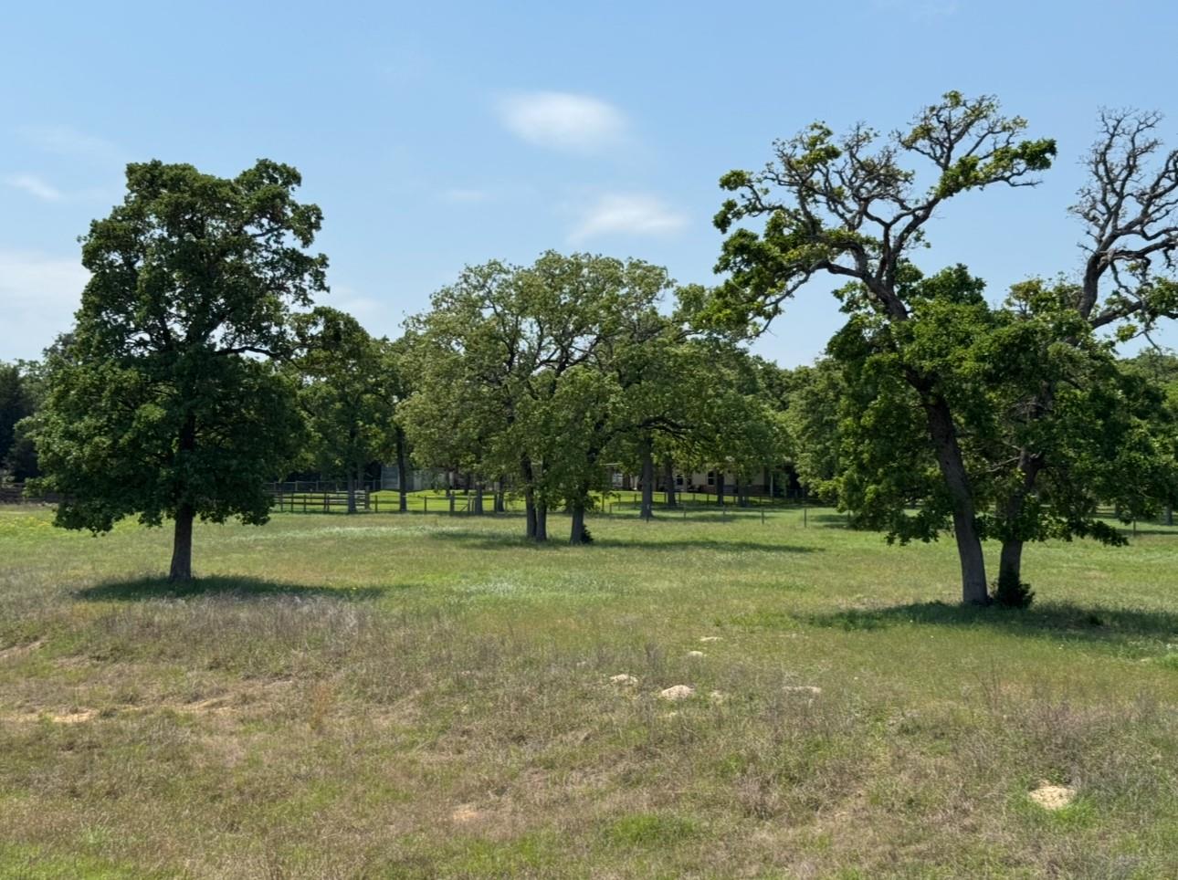 1480 County Road B Lexington TX 78947