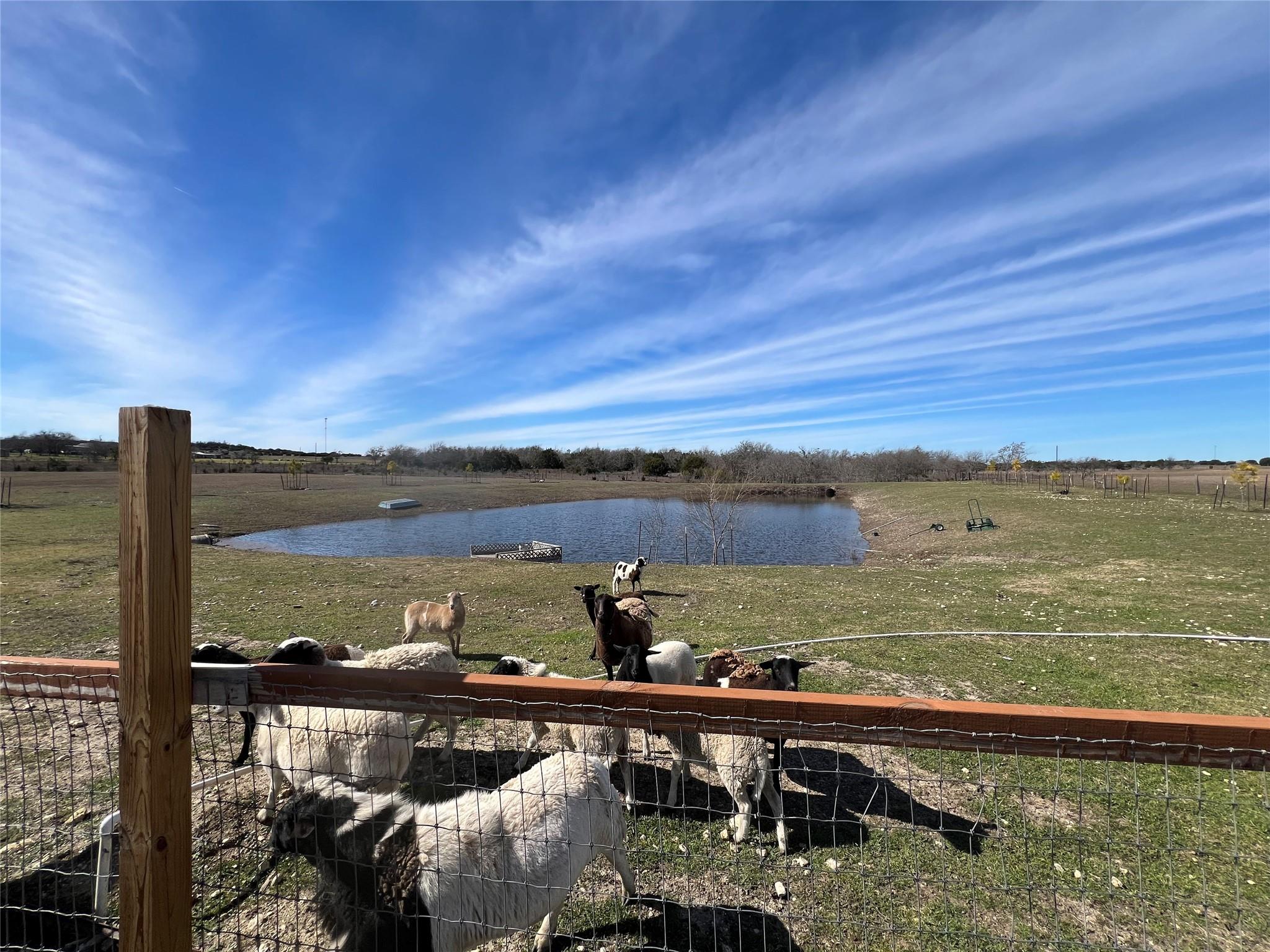 1300 County Road 217 Florence TX 76527