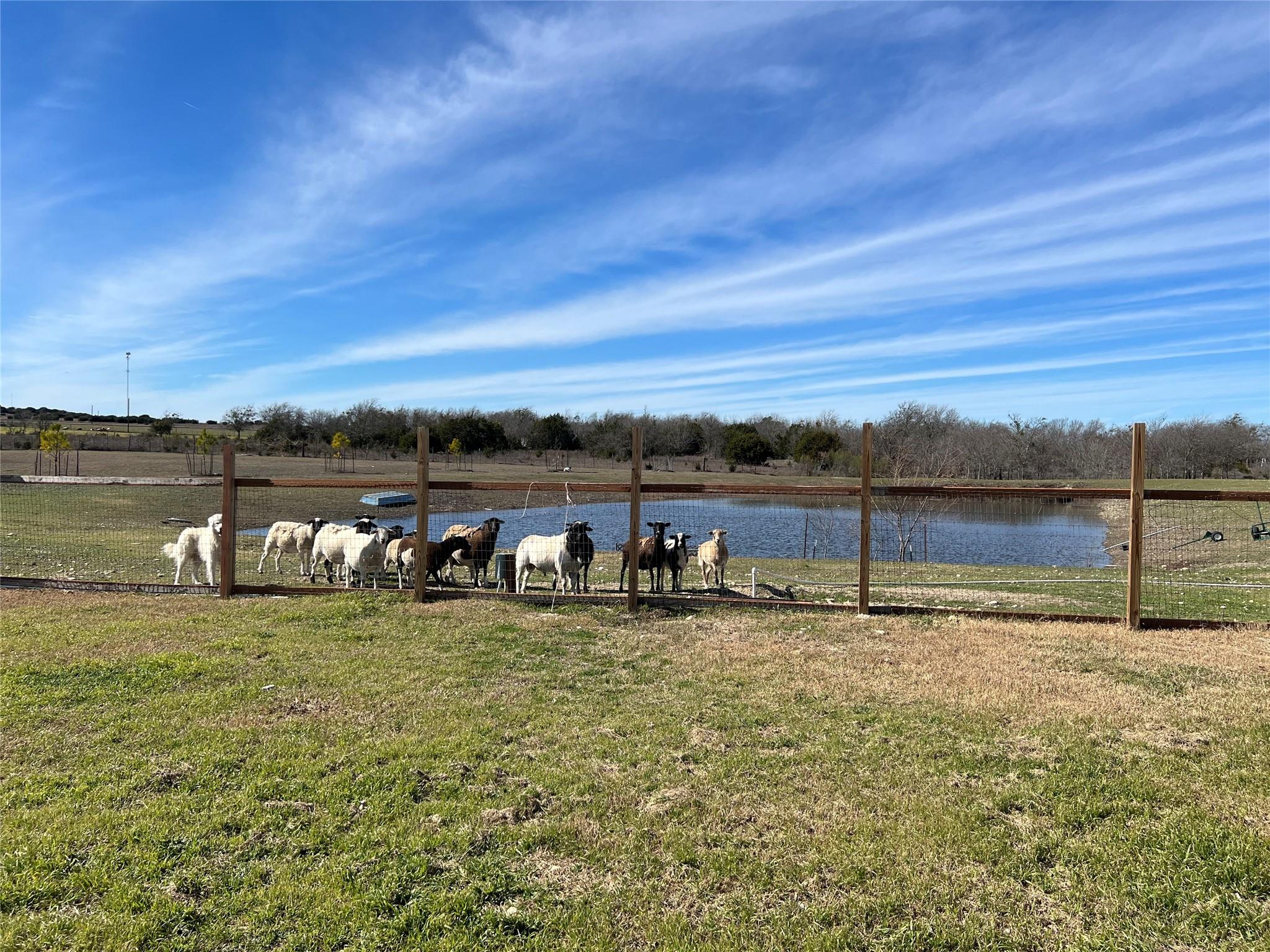 1300 County Road 217 Florence TX 76527