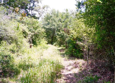 Tbd Farm To Market 3233 Road La Grange TX 78945
